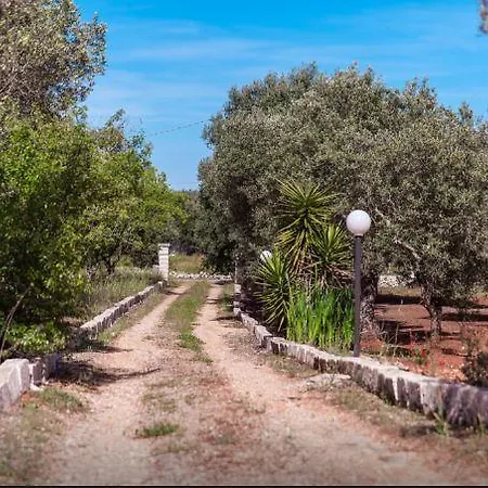 Grotta Nyaraló *